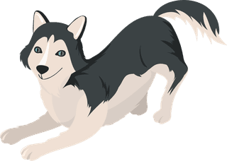 snobdog-cute-husky-dog-different-poses-flat-set-721493