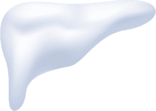 snowcapes-piles-transparent-267421