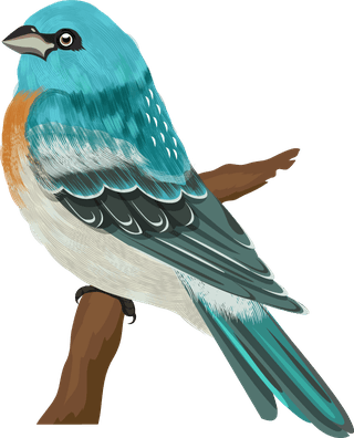 sparrowbirds-species-icons-colorful-cartoon-sketch-828761