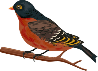 sparrowbirds-species-icons-perching-sketch-colorful-classic-design-733834
