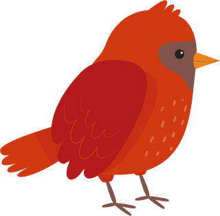 sparrowhand-drawn-colorful-robin-collection-426158