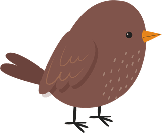 sparrowhand-drawn-colorful-robin-collection-664325