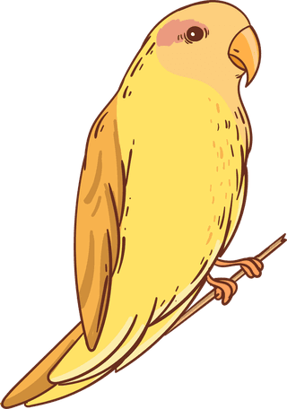sparrowhand-drawn-illustrated-bird-collection-720555