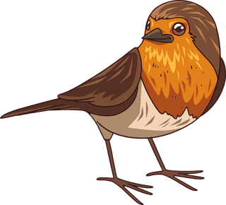 sparrowhand-drawn-robin-bird-collection-576459