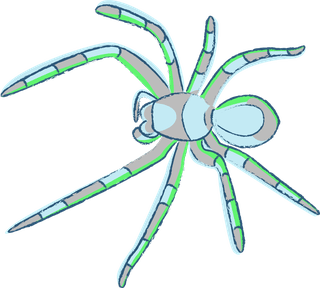 spiderillustrated-in-many-colors-with-sketchy-style-this-tarantula-vector-857066