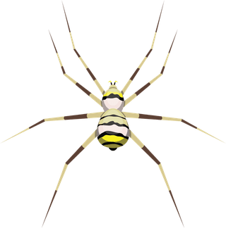 spiderset-of-tarantula-icons-vector-190837