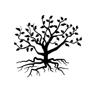 springtree-with-leaves-black-and-white-silhouette-896314