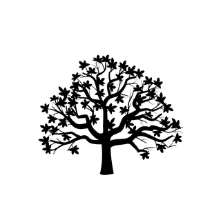 springtree-with-leaves-black-and-white-silhouette-903029