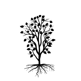 springtree-with-leaves-black-and-white-silhouette-906475