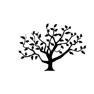 springtree-with-leaves-black-and-white-silhouette-916395