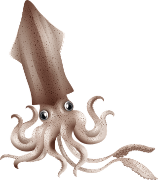 squidcute-funny-different-kinds-of-sea-animals-illustration-29308