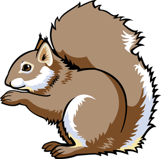 squirrelanimal-set-with-farm-and-wild-character-cat-and-lion-246591