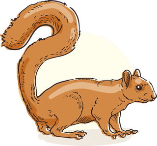 squirrelhand-drawn-autumn-forest-animal-collection-870031