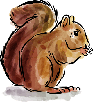 squirrelset-hand-drawn-watercolor-forest-animals-333002