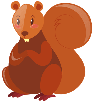 squirrelwild-animals-collection-488977