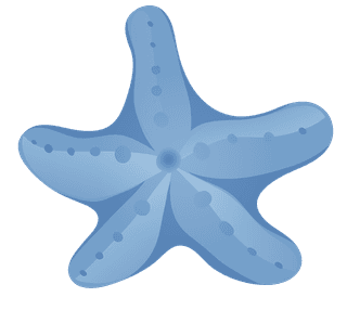 starfisha-set-of-blue-seashell-illustration-942716
