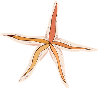 starfishmarine-design-elements-classical-sea-animals-plant-sketch-800180