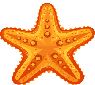 starfishmarine-species-icons-shell-starfish-coral-sketch-603725