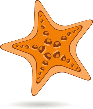 starfishsummer-vector-icons-595327