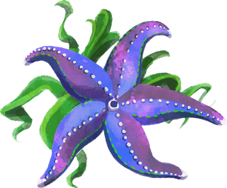 starfishwatercolor-beautiful-starfish-883260