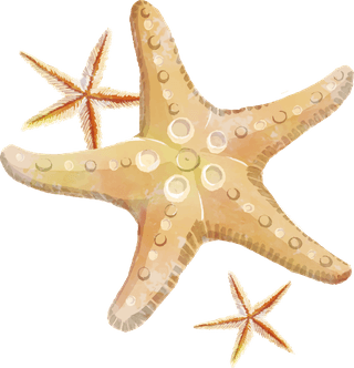 starfishwatercolor-beautiful-starfish-318910