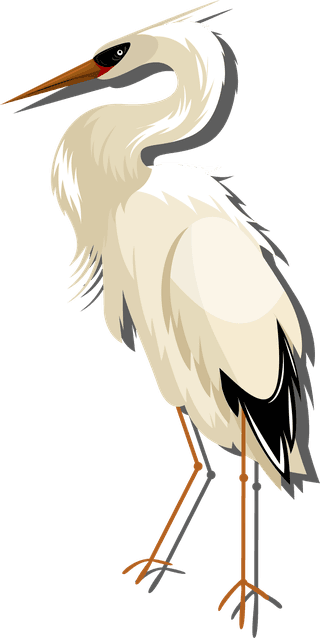 storkbirds-species-icons-eagle-toucan-stork-vulture-sketch-423806