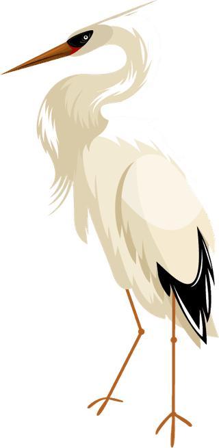 storkbirds-species-icons-eagle-toucan-stork-vulture-sketch-948002