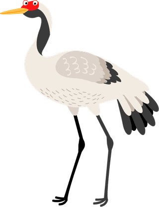 storkcute-birds-illustration-set-660174