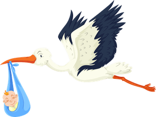 storkset-different-birds-cartoon-style-isolated-white-background-59975