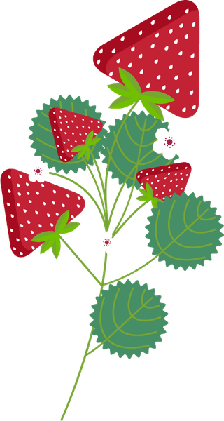 strawberryicons-colored-flat-modern-sketch-153089