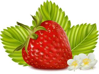 strawberrystrawberry-fruit-milk-vector-374657