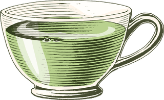 teamaking-tools-green-tea-collection-hand-drawing-engraving-style-art-isolated-on-white-895357