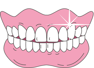 teethsome-vector-forms-of-dentures-you-can-download-54881