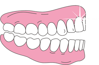 teethsome-vector-forms-of-dentures-you-can-download-552757