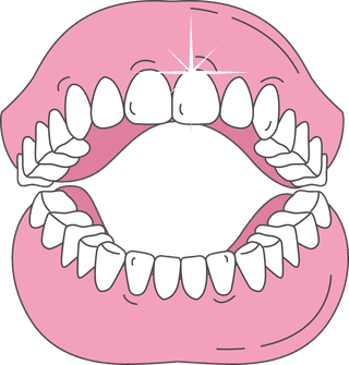 teethsome-vector-forms-of-dentures-you-can-download-21433
