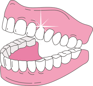 teethsome-vector-forms-of-dentures-you-can-download-313602