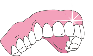 teethsome-vector-forms-of-dentures-you-can-download-164330