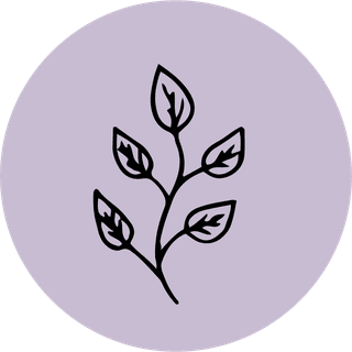 templateinstagram-bontanical-plant-vector-191436