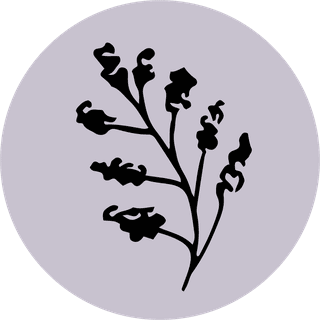 templateinstagram-bontanical-plant-vector-953989