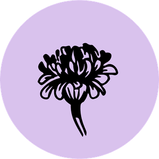 templateinstagram-bontanical-plant-vector-347695