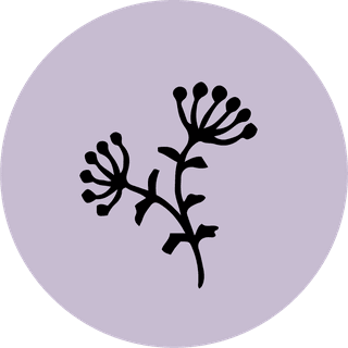 templateinstagram-bontanical-plant-vector-549818