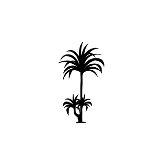 thinpalm-tree-silhouette-790076