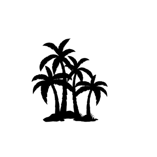thinpalm-tree-silhouette-794646
