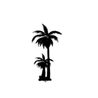 thinpalm-tree-silhouette-797213
