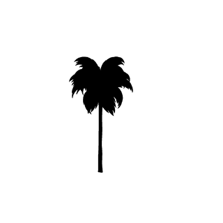 thinpalm-tree-silhouette-800064