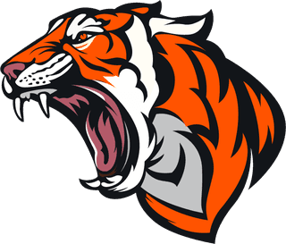 tigertigers-icons-dynamic-aggressive-sketch-colored-handdrawn-532599