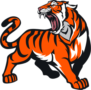 tigertigers-icons-dynamic-aggressive-sketch-colored-handdrawn-724246