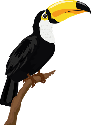 tocotoucan-toucan-bird-icons-colorful-perching-sketch-561780