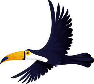 tocotoucan-tucan-birds-icons-colorful-cartoon-sketch-729587