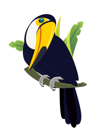 tocotoucan-tucan-birds-icons-colorful-cartoon-sketch-56023